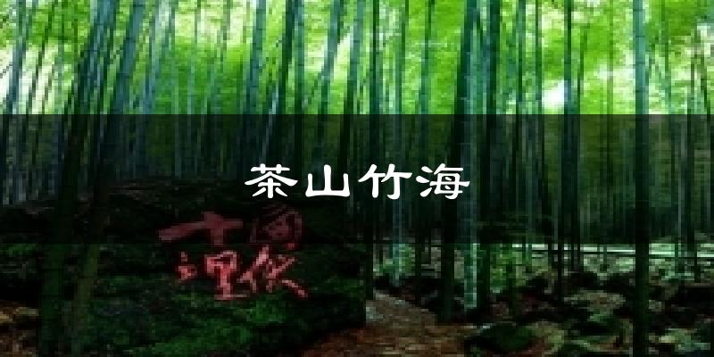 茶山竹海天气预报十五天