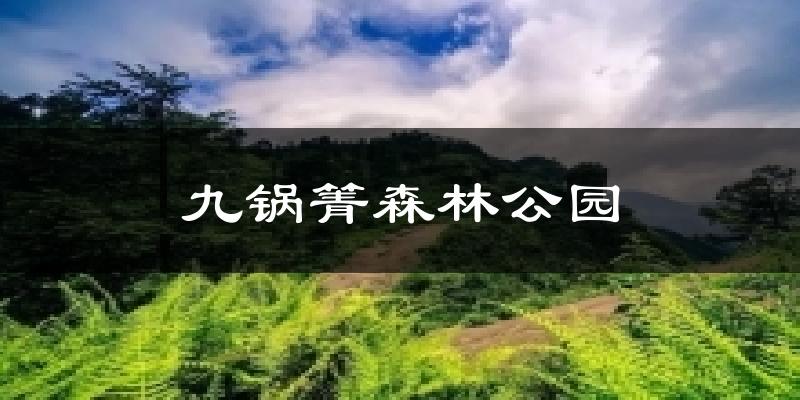 九锅箐森林公园天气预报十五天