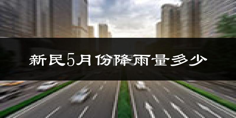 新民5月份降雨量多少?新民五月下雨多吗?