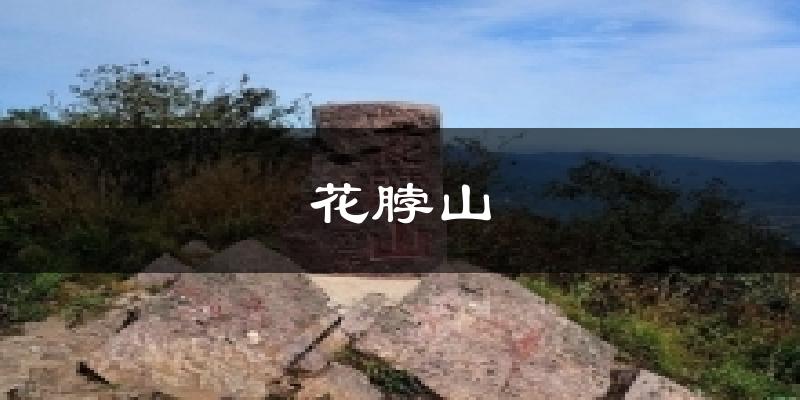 花脖山天气预报十五天