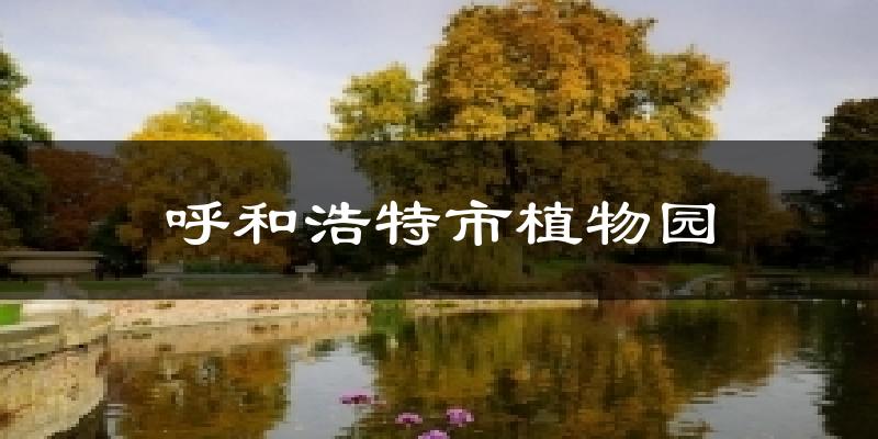 呼和浩特市植物园天气预报十五天