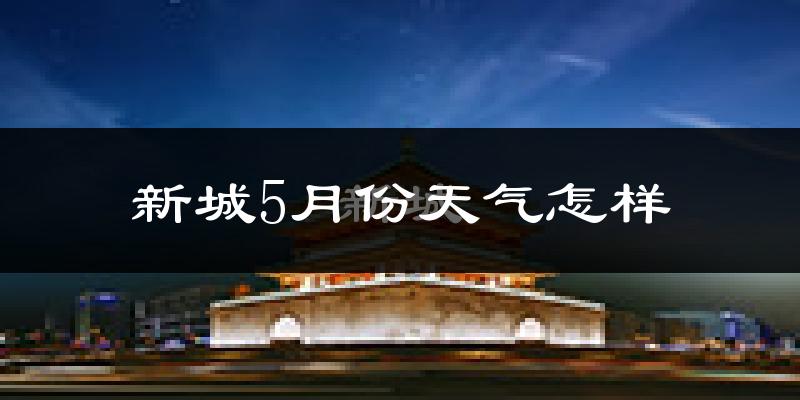 新城5月份天气怎样?新城五月冷不冷?