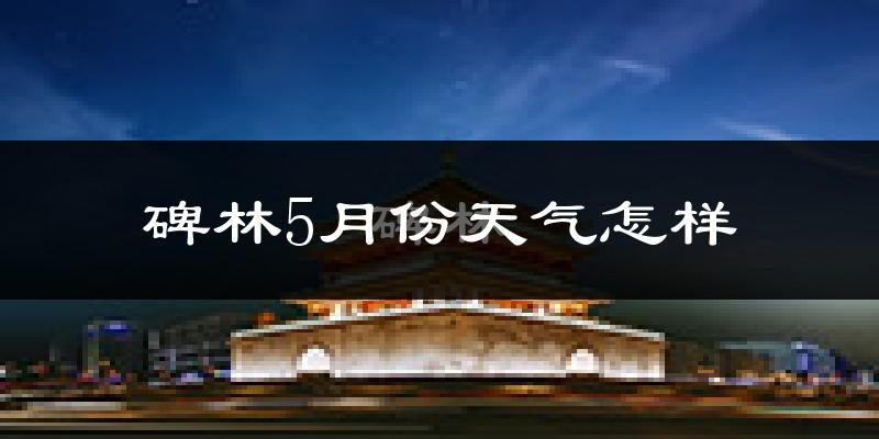 碑林5月份天气怎样?碑林五月冷吗?