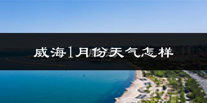 威海市1月份天气如何?很冷吗?