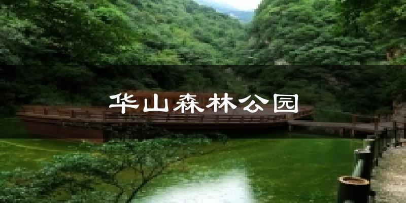 华山森林公园天气预报十五天