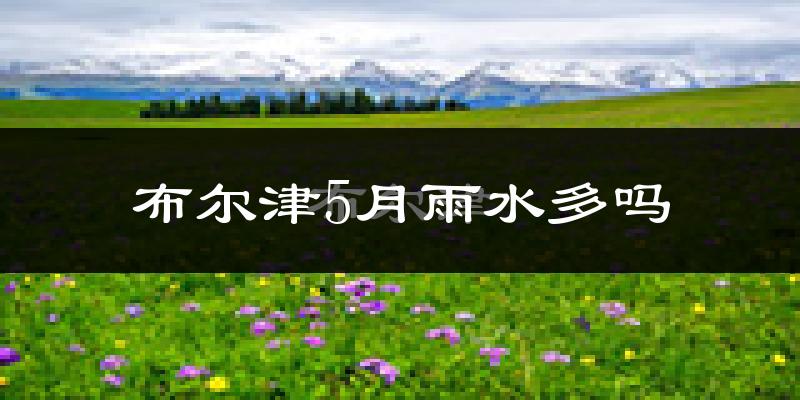 布尔津5月雨水多吗?