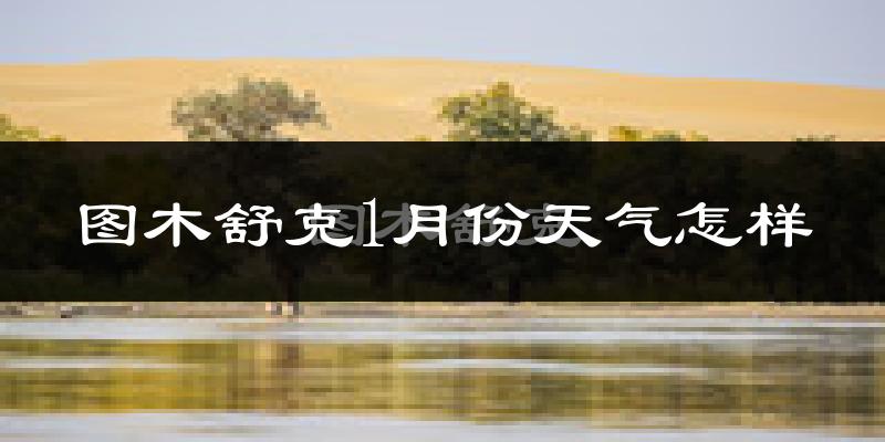 图木舒克市1月份天气如何?很冷吗?