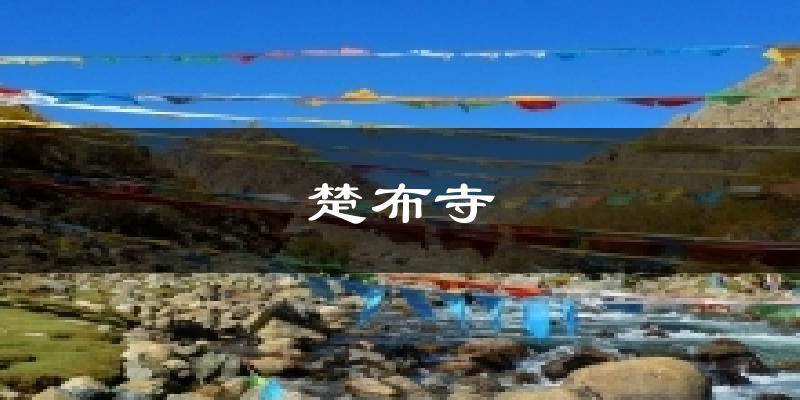 楚布寺天气预报十五天