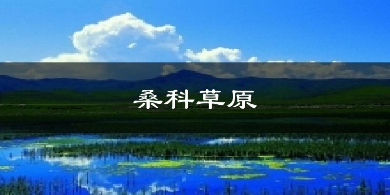 桑科草原天气预报十五天