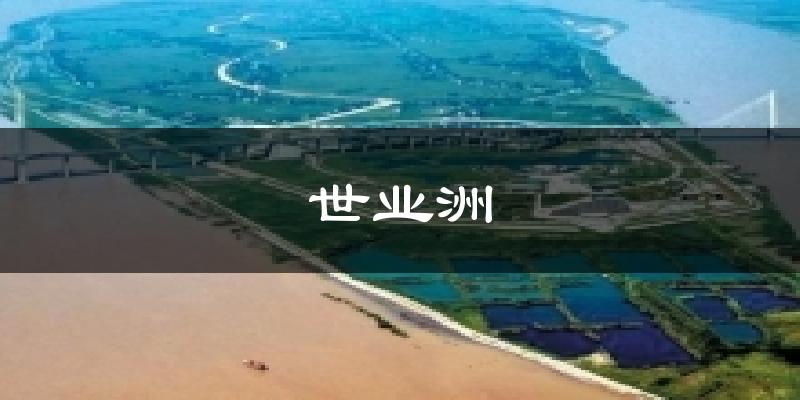 世业洲天气预报十五天