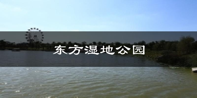 东方湿地公园天气预报十五天