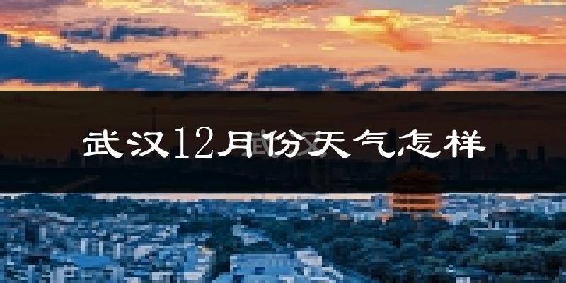 武汉12月份天气怎样?武汉十二月冷吗?
