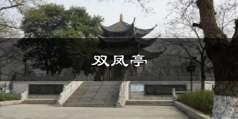 双凤亭天气预报十五天