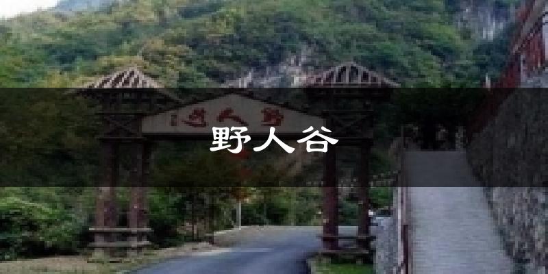 野人谷天气预报十五天