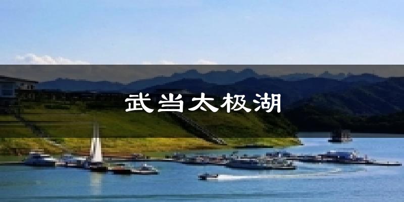 武当太极湖天气预报十五天
