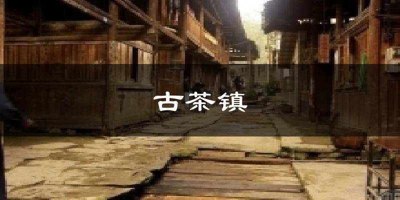 古茶镇天气预报十五天