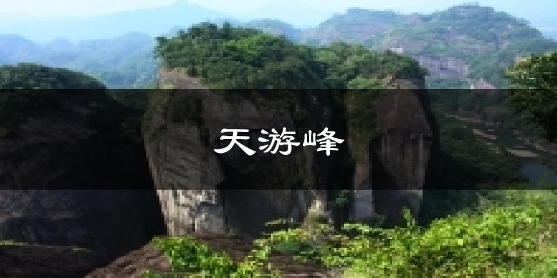 天游峰天气预报十五天