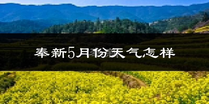奉新县5月份天气如何?很热吗?