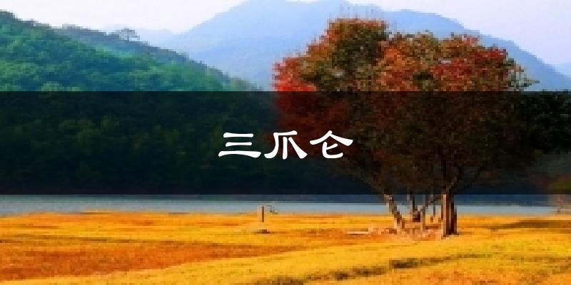 三爪仑天气预报十五天