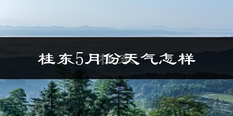 桂东县5月份天气如何?很热吗?