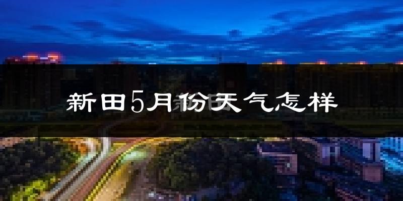 新田县5月份天气如何?很热吗?