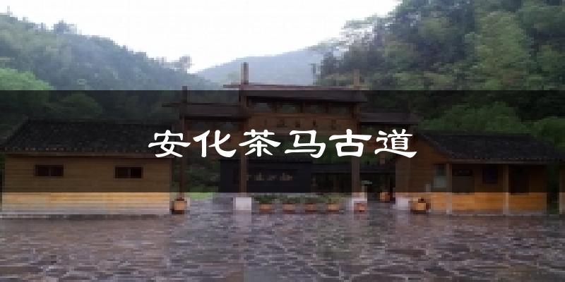 安化茶马古道天气预报十五天