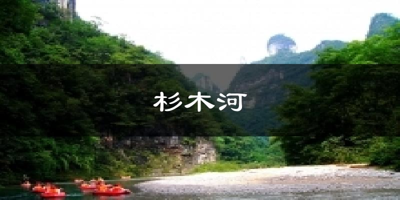 杉木河天气预报十五天