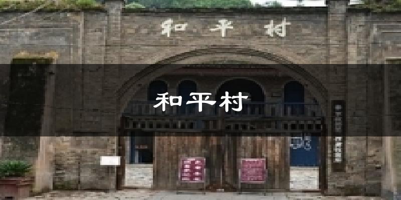 和平村天气预报十五天