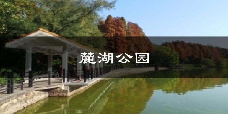 麓湖公园天气预报十五天