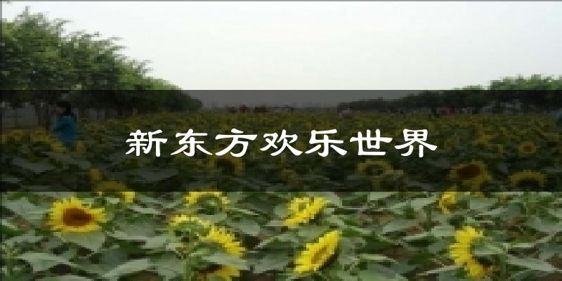 新东方欢乐世界天气预报十五天