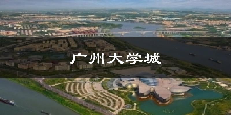 广州大学城天气预报十五天