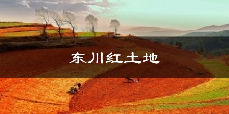 东川红土地天气预报十五天