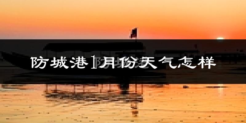 防城港市1月份天气如何?冷吗?