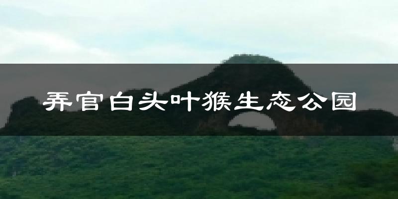 弄官白头叶猴生态公园天气预报十五天
