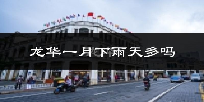 龙华一月下雨天多吗?龙华1月份降雨量多少?