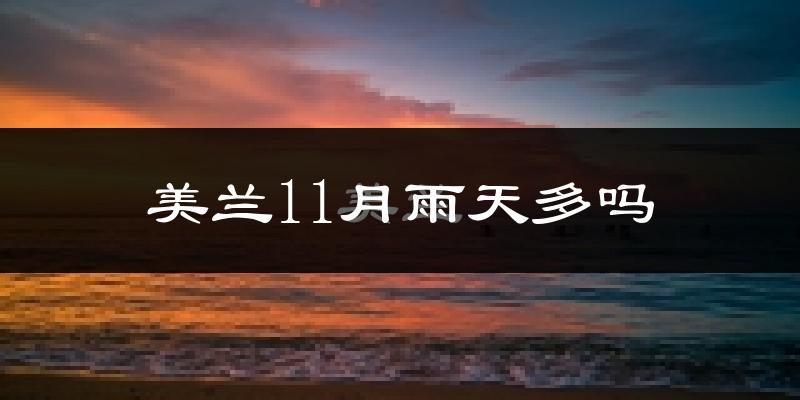 美兰11月雨天多吗?