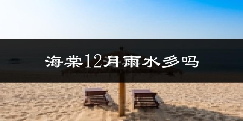 海棠12月雨水多吗?