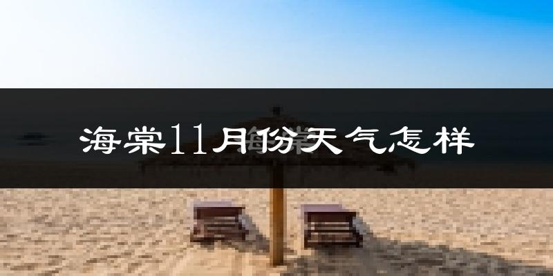 海棠11月份天气怎样?海棠十一月冷吗?