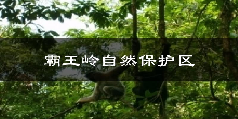 霸王岭自然保护区今日天气
