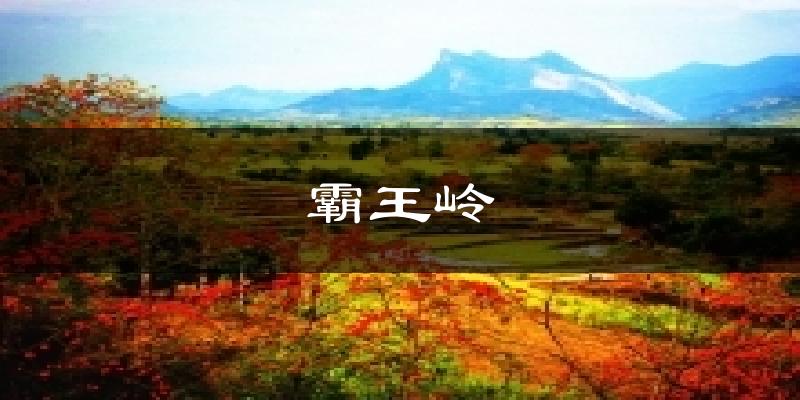 霸王岭今日天气