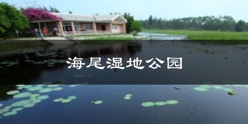 海尾湿地公园气温