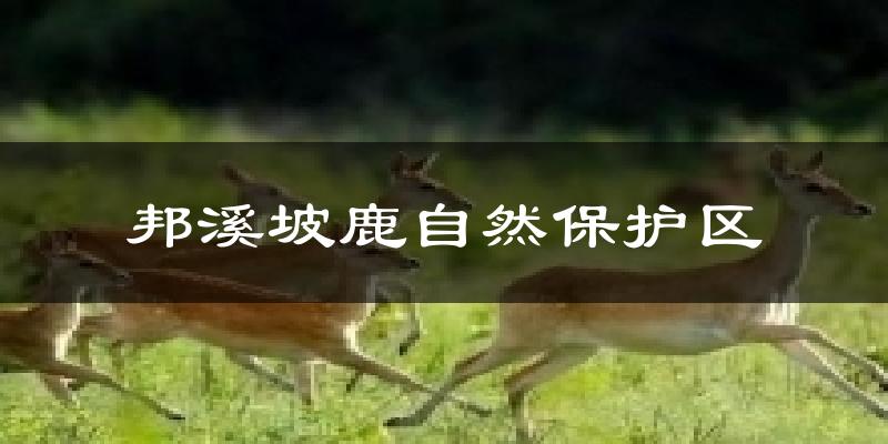 邦溪坡鹿自然保护区气温