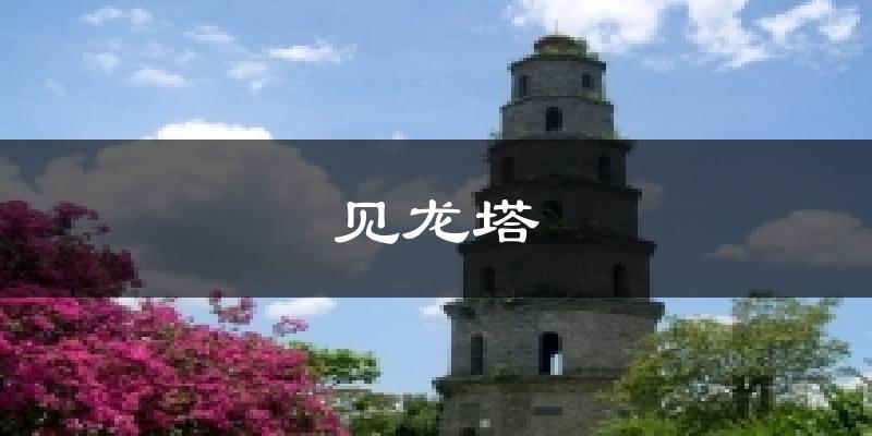 见龙塔今日天气