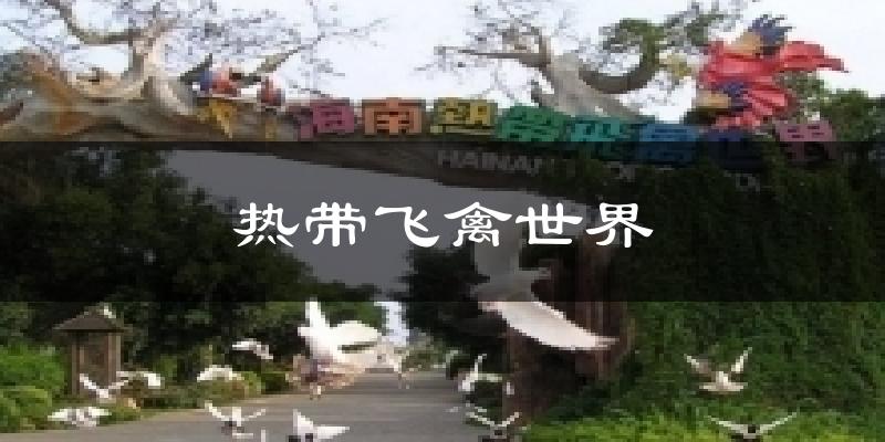 定安热带飞禽世界天气预报未来一周