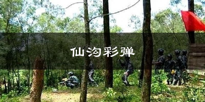 仙沟彩弹今日天气