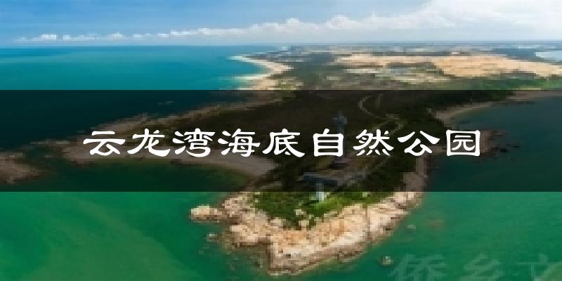 云龙湾海底自然公园今日天气
