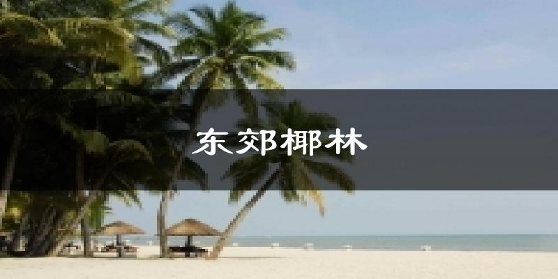 东郊椰林今日天气