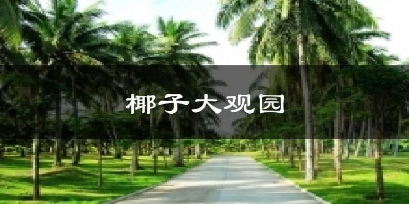 椰子大观园今日天气