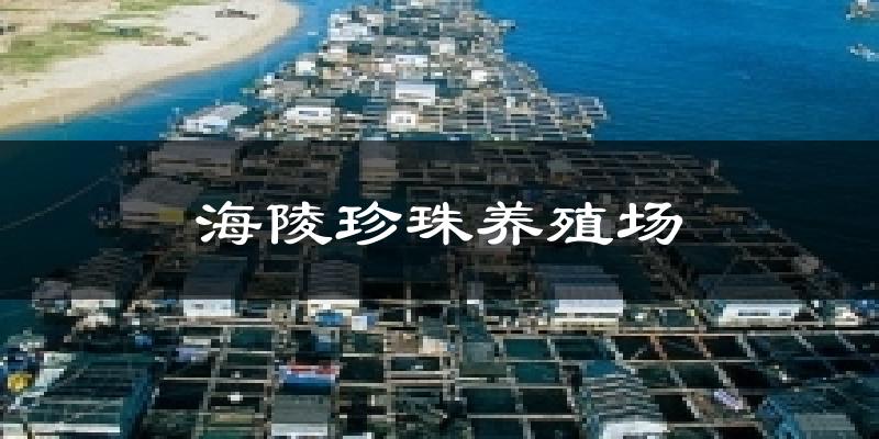 海陵珍珠养殖场气温
